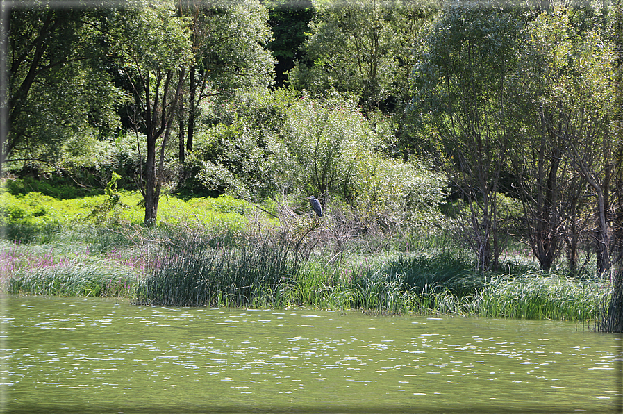 foto Lago di Terlago